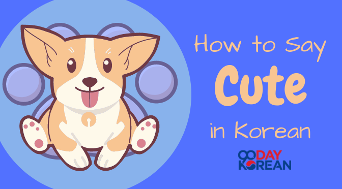 How to Say Cute in Korean - Guide to Being Adorable