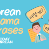 Top 28 Korean Drama Words & Phrases for K-Drama Fans
